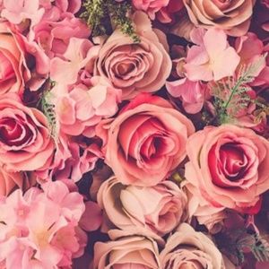 Meet your Posher, Lala